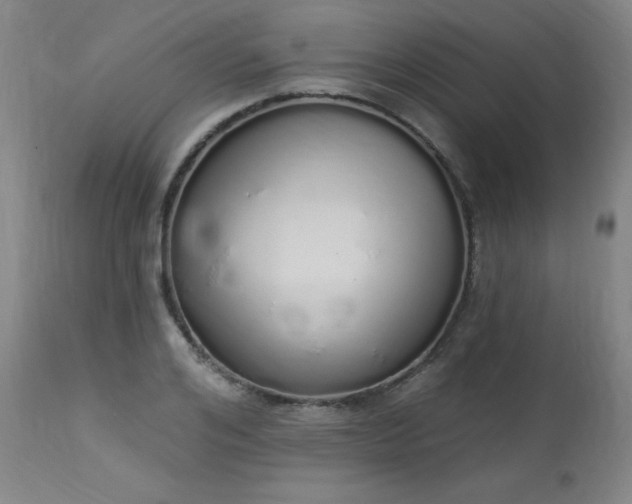 X0000114000984200910021312