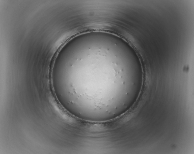 X0000114000986200910021312