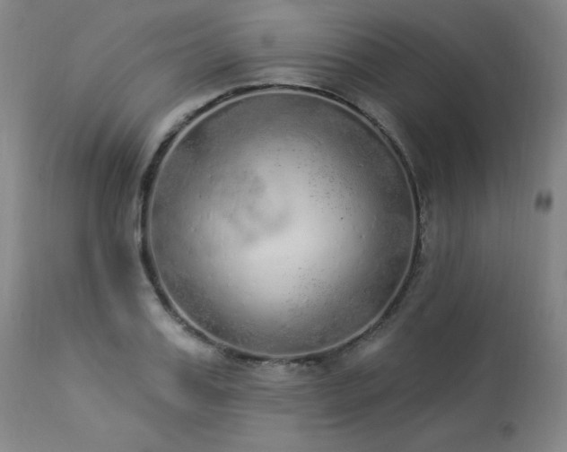 X0000114000987200910021312