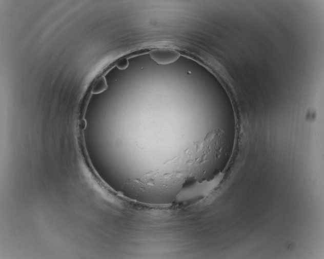 X0000114000989200910021312