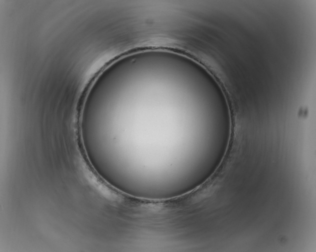 X0000114000990200910021312