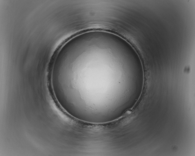 X0000114000991200910021312