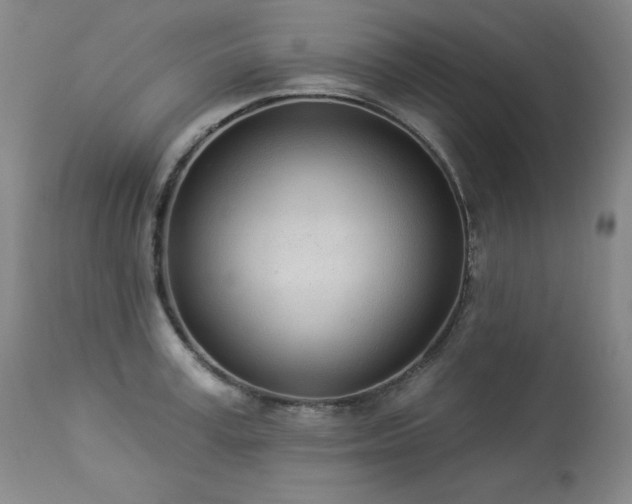 X0000114000995200910021312