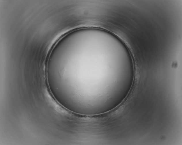 X0000114000996200910021312