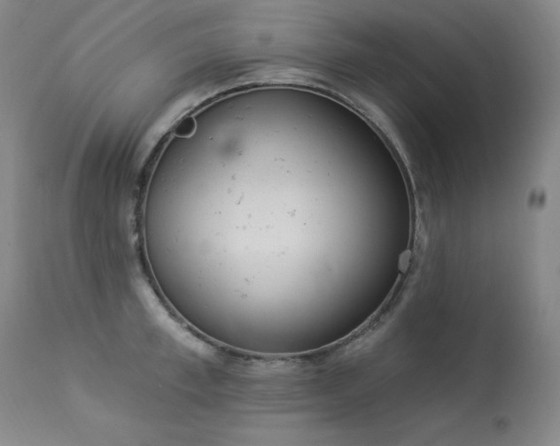 X0000114000997200910021312