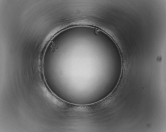 X0000114000998200910021312