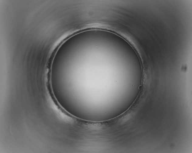 X0000114000999200910021312