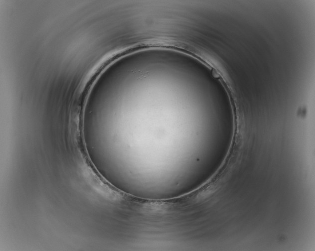 X0000114001000200910021312