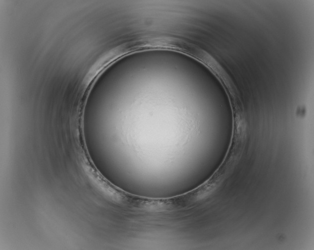 X0000114001002200910021312