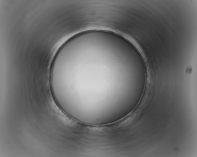 X0000114001004200910021312