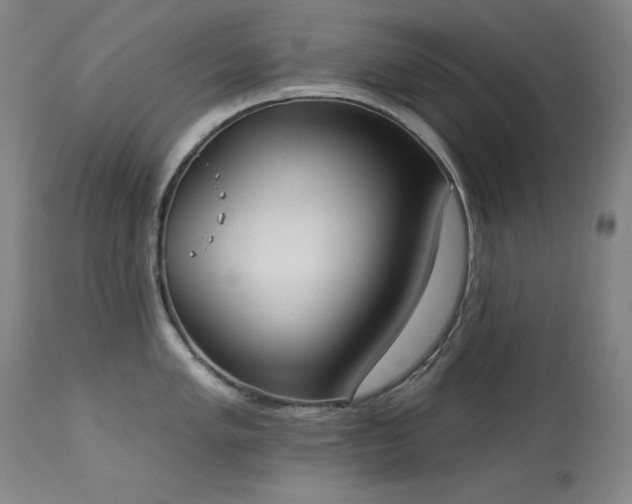 X0000114001005200910021312