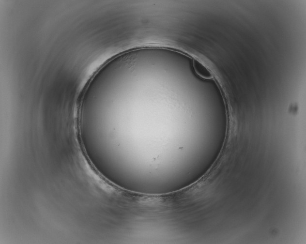 X0000114001006200910021312