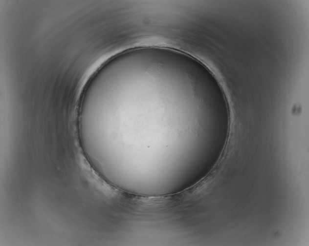 X0000114001008200910021312