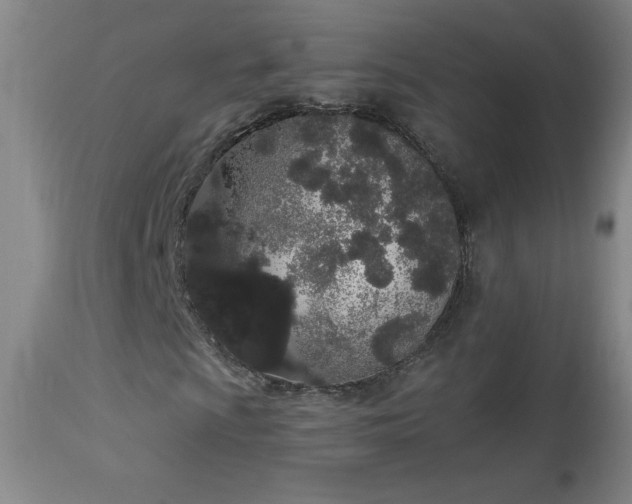 X0000114001009200910021311