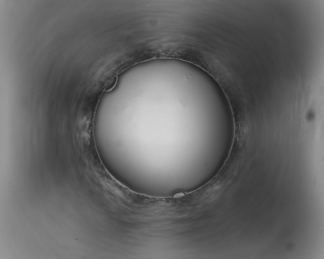 X0000114001010200910021311