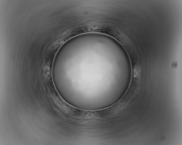 X0000114001011200910021311