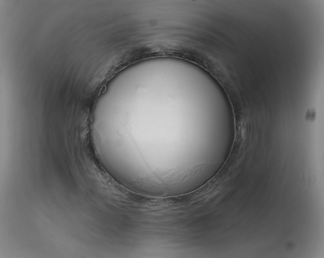 X0000114001012200910021311