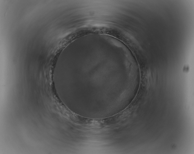 X0000114001013200910021311