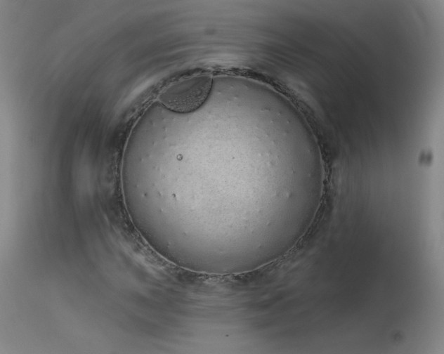 X0000114001015200910021311