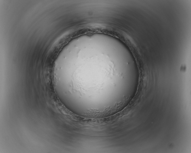X0000114001016200910021311