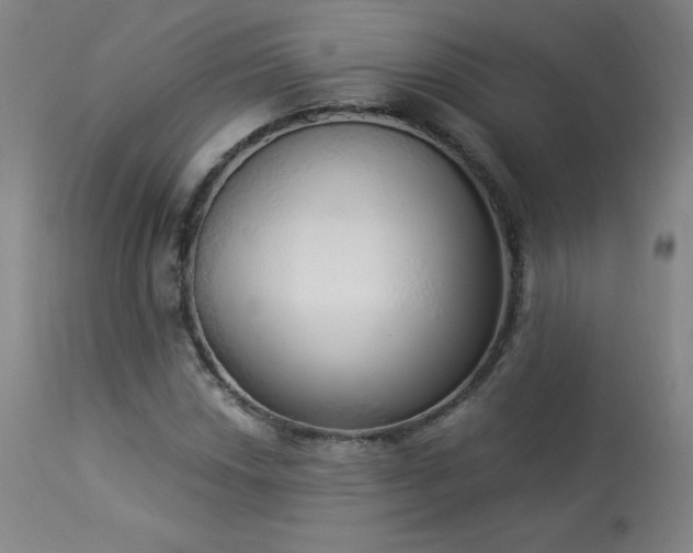 X0000114001018200910021311