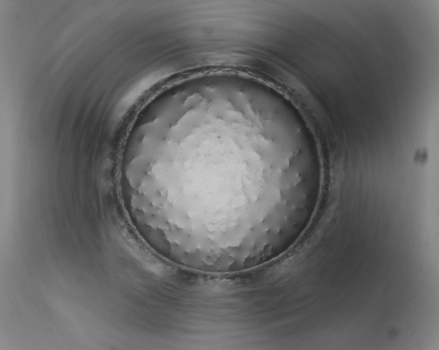 X0000114001019200910021311