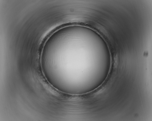 X0000114001021200910021311