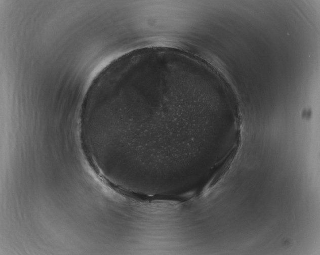 X0000114001024200910021311