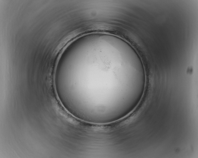 X0000114001025200910021311