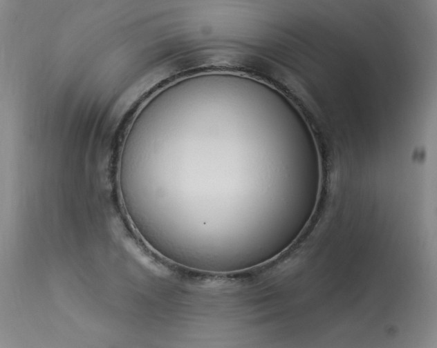 X0000114001026200910021311