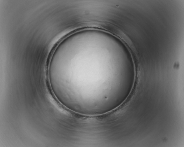 X0000114001028200910021311