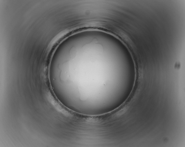 X0000114001029200910021311