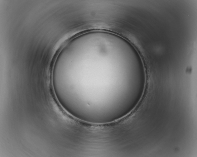 X0000114001032200910021311