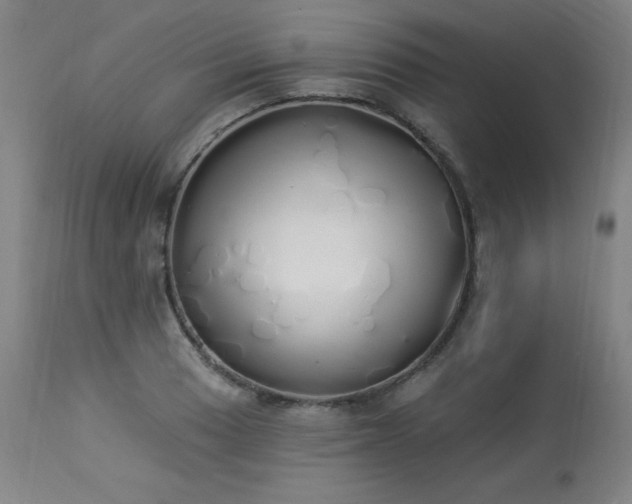 X0000114001033200910021311
