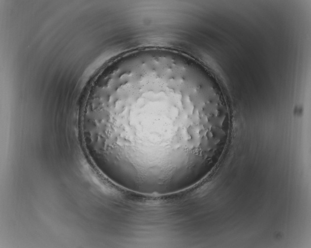X0000114001035200910021311