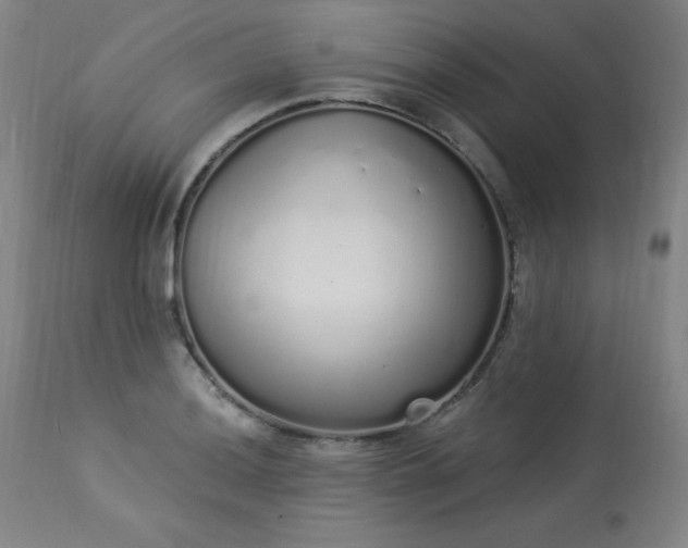 X0000114001036200910021311