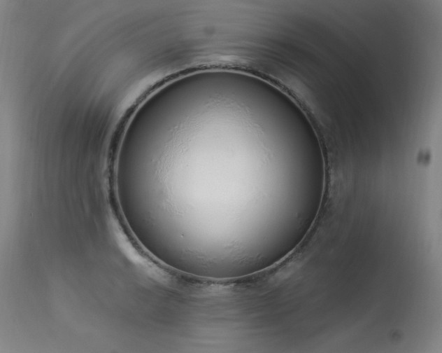 X0000114001038200910021311