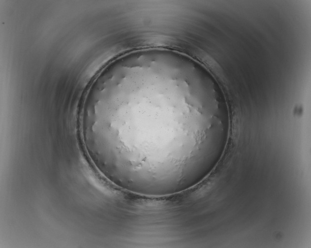 X0000114001039200910021312