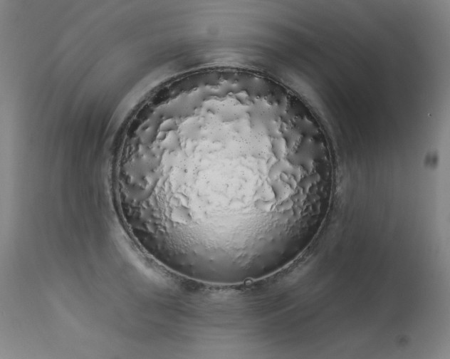 X0000114001043200910021312