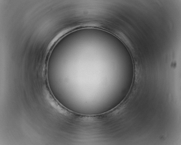 X0000114001044200910021312