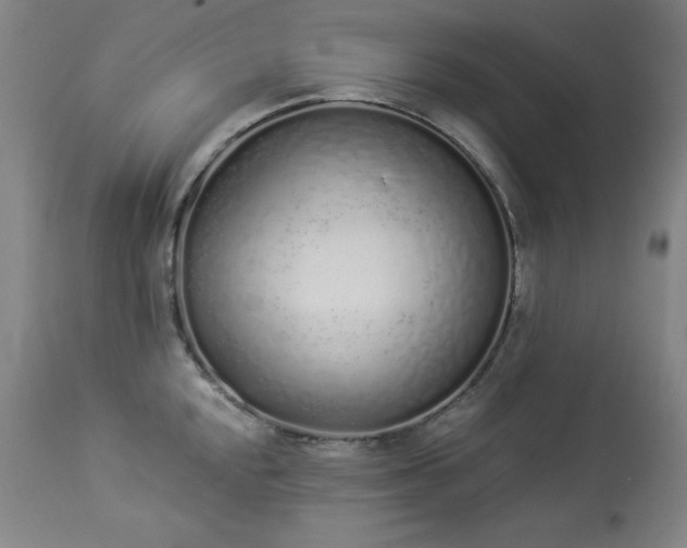 X0000114001048200910021312