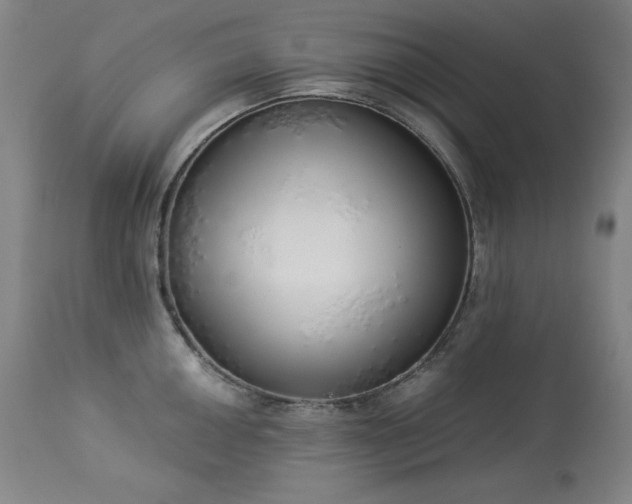 X0000114001050200910021312