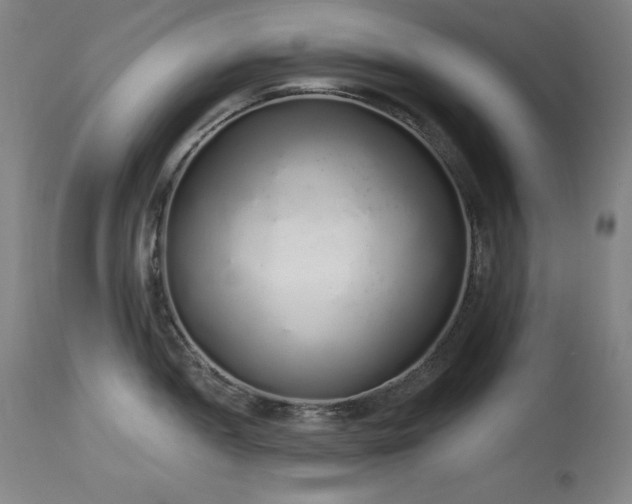 X0000114001052200910021312