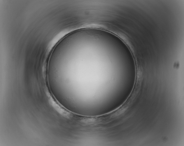 X0000114001054200910021312