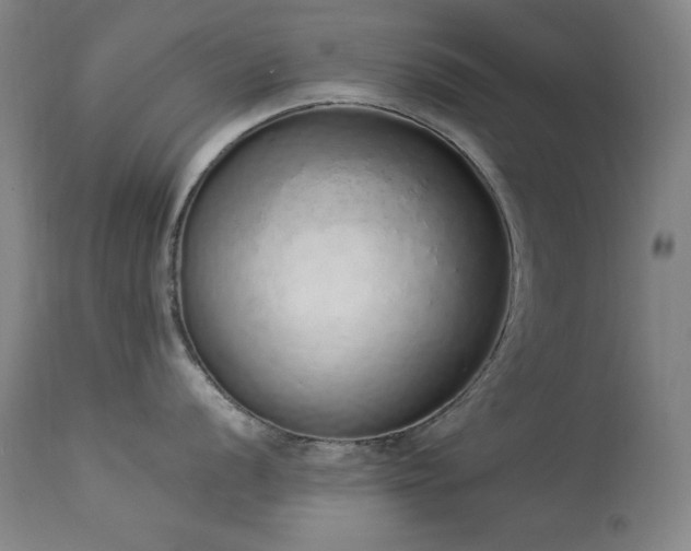 X0000114001056200910021312