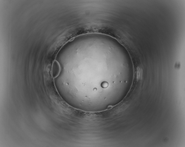 X0000114001059200910021311