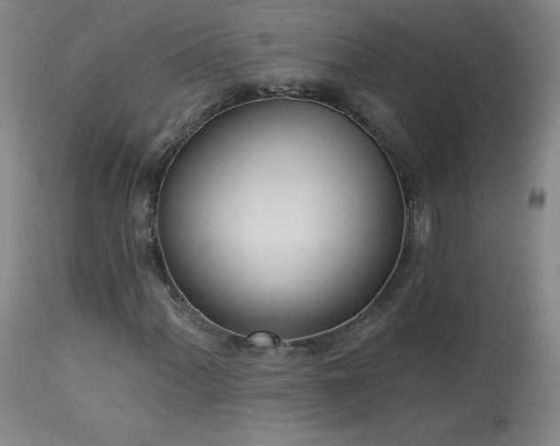 X0000114001060200910021311