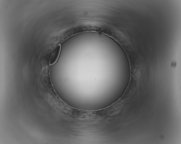 X0000114001061200910021311