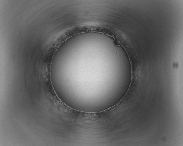 X0000114001062200910021311