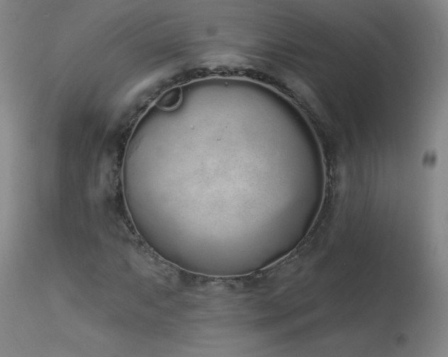 X0000114001063200910021311